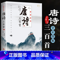 [正版]唐诗三百首全集完整版300首无删减 原文注释译文彩图版 全解详注中国古诗词鉴赏 传统文化国学启蒙 初中生小学生