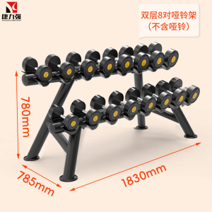 康力强FW722哑铃架家用小型商用健身房双层哑铃收纳架碳钢哑铃架
