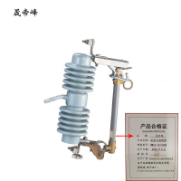 晟帝峰 跌落式熔断器 RW12-12/100A 组