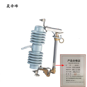 晟帝峰 跌落式熔断器 RW12-12/100A 组