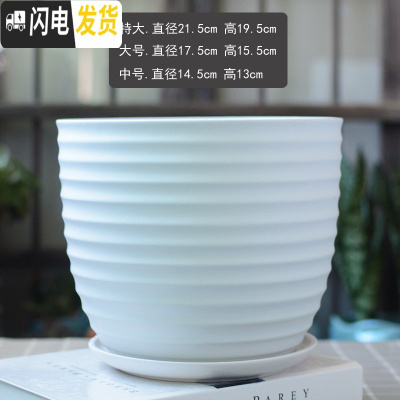 三维工匠白色简约花盆陶瓷大号特大号带托盘吊兰绿萝多肉花盆 梯形哑光白圈纹 特大花盆容器