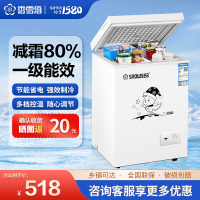 香雪海 冰柜减霜小型家用 一级能效 冰柜 冷柜家用顶开门 卧式冷柜冷冻冷藏转换 单温柜BD/BC-110S169