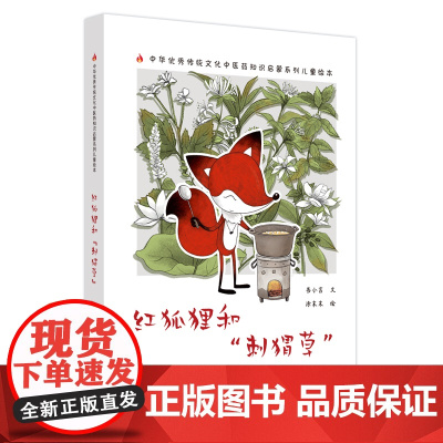 红狐狸和“刺猬草”