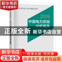 正版 中国电力供需分析报告:2019 国网能源研究院有限公司 中国电