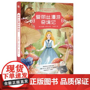 童书 爱丽丝漫游奇境记 精装寒假童书小学生课外阅读书籍二三四五六上下年级课外书世界名著