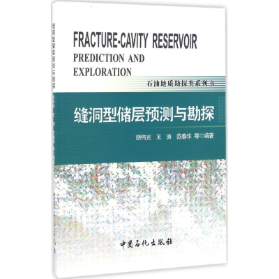 醉染图书缝洞型储层预测与勘探97875114405