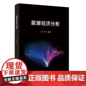 [正版新书]能源经济分析 孟明 清华大学出版社 信息分析方法