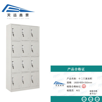 天远鑫景 十二门更衣柜 1800*900*350mm 台