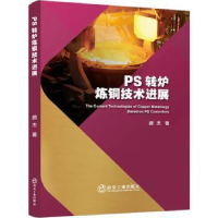 音像PS 转炉炼铜技术进展颜杰著
