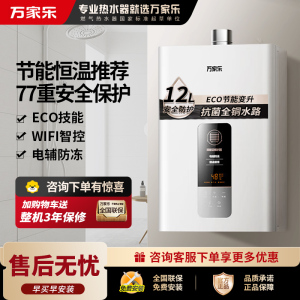 万家乐 12升热水器燃气热水器燃热 智能恒温 热水器天然气 12DP1