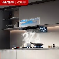 老板(Robam)[双子星E2机皇]1320Pa静压27风量大吸力 D2灶具油烟机 烟灶联动E2+D2 天然气