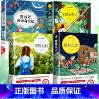 [全4册]柳林风声+绿野仙踪+爱丽丝漫游奇境+木偶奇遇记 [正版]柳林风声 彩图注释小学生课外阅读书籍三四五六年级阅读经