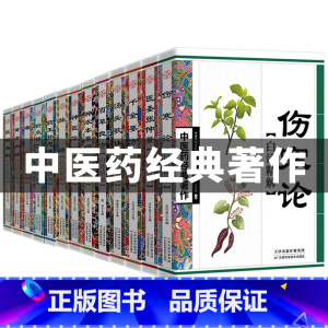伤寒论 [正版]全14册中医药经典著作伤寒论原版张仲景 医祖扁鹊奇方妙治 药王孙思邈古典医学名著白话精解 中医药经典著作