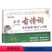 古诗词 小学毕业升学真题详解 小学升初中 [正版]2023新版小升初小学古诗文专项训练测试卷真题名校分班卷小学生三四五