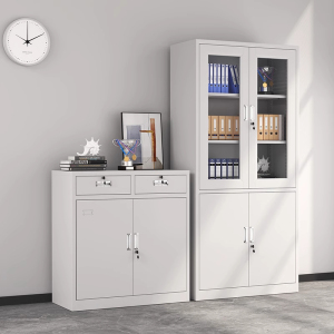 誉卓远文件柜铁皮柜储物柜抽屉柜钢制办公柜资料柜玻璃柜档案柜凭证柜 中二斗文件柜