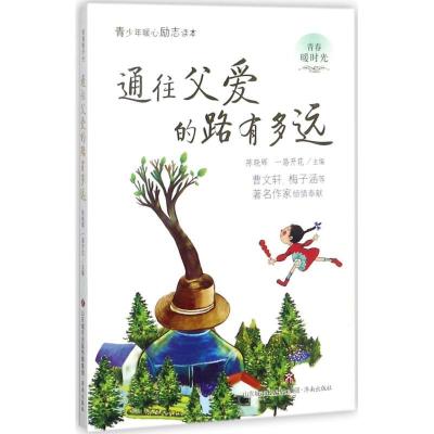 正版新书]青春暖时光?通往父爱的路有多远陈晓辉9787548827610