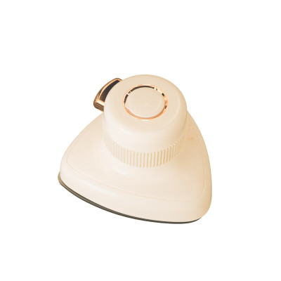 西屋(WESTINGHOUSE)便携式干湿两用蒸汽电熨斗WGTS5 浅黄色