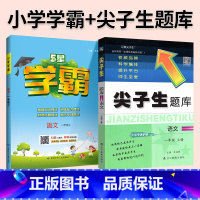难度升级[尖题+学霸]语文 人教版 2本 六年级下 [正版]2024春尖子生题库二三年级四五年级六一年级上下册数学语文人