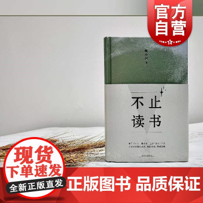 不止读书 青年作家百万读书博主魏小河著 中国现代文学当代书评散文选集 上海文艺出版社