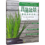 菖蒲盆景种植养护艺术 文人案头清供雅玩