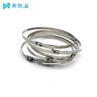 新凯益 304不锈钢自锁扎带 12*600mm 根