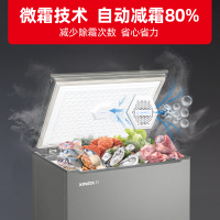 星星(XINGX)BD/BC-145KV商用家用小型两用柜单温冷藏冷冻转换一级能效高效减霜80%
