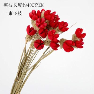 敬平ins风干花花束家居摆设小清新客厅插花网红装饰品满天星永生花18枝红色开心果