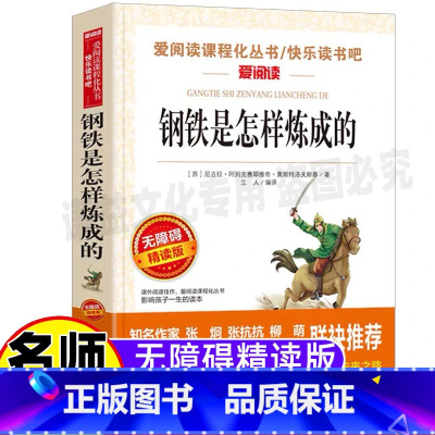 [正版]钢铁是怎样炼成的中小学生八年级原著完整版初中二年级青少年课外书彩图美绘插画版天地出版社名师导读带批注立人编无障
