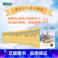 《红楼梦》 小学通用 [正版]大语文名著41册汤姆索亚历险记水浒传西游记格林童话安徒生童话小王子中小学课外读本中国古典小