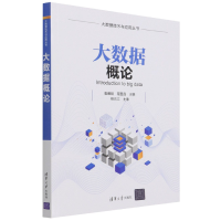 音像大数据概论/大数据技术与应用丛书高腾刚,程星晶