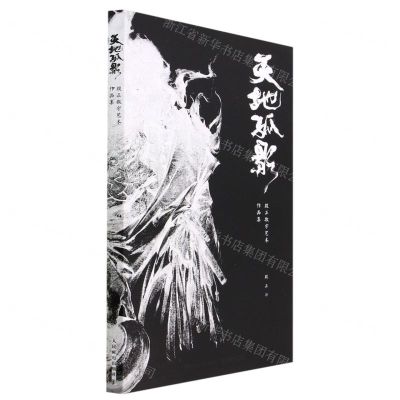 [N]天地孤影(殷正数字艺术作品集)(精)-9787115576095