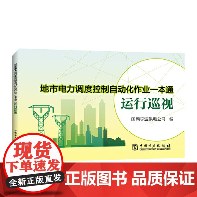 地市电力调度控制自动化作业一本通 运行巡视
