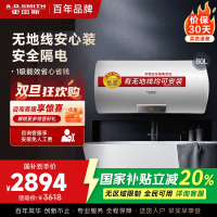 AO史密斯80升电热水器 无地线可安装 专利安全隔电 金圭内胆 速热节能 一键中温保温E80VDS 预约洗浴