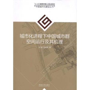 醉染图书城市化进程下中国城市群空间运行及其机理9787564101