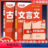 小升初》古诗词+文言文[2册] 小学通用 [正版]2024版 万唯小白鸥小升初文言文186篇古诗词525首三年级四五六年