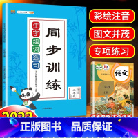 生字组词造句[上册+下册] 小学二年级 [正版]生字组词造句同步训练 二年级上册下册 字词句训练书人教版小学语文课堂练习