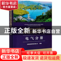 正版 抽水蓄能电站设备设施典型故障案例分析 电气分册 编者:国