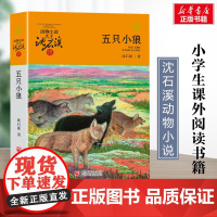 五只小狼 升级版 沈石溪动物小说正版品藏书系 小学生三年级四年级课外书7-8-9-10岁寒暑假课外书阅读浙江少年儿童出版