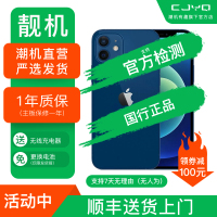 [二手99新] Apple iPhone 12 蓝色 256GB 二手苹果12手机 全网通 双卡双待 国行5G 正品手机
