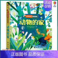 动物的家 [正版]尤斯伯恩偷偷看里面系列全套12册 第一辑+第二辑+第三辑 0-1-3岁婴儿的书籍翻翻幼儿启蒙认知早教绘