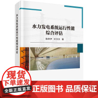 [按需印刷] 水力发电系统运行性能综合评估