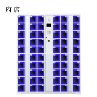 府店智能手机柜存放柜充电柜存包柜储物柜60门充电透明款
