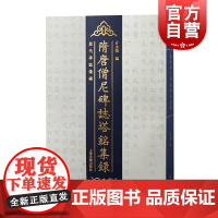 隋唐僧尼碑志塔铭集录 介永强编作品历代碑志汇编佛教文史上海古籍出版社正版书籍西北历史文化地理研究隋唐佛教文化史论