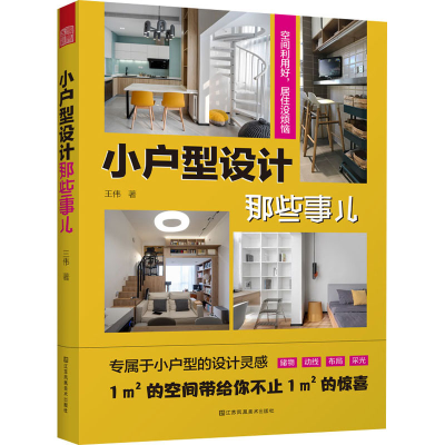 正版新书]小户型设计那些事儿王伟 著9787574113060