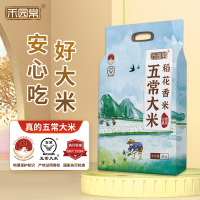 禾园常五常大米5kg10斤非真空