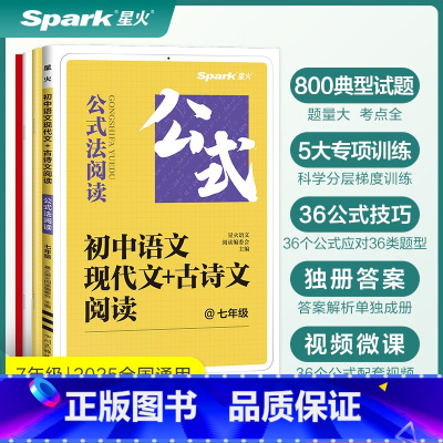 现代文+古诗文阅读 七年级/初中一年级 [正版]2024新星火初中语文现代文古诗文阅读七年级语文阅读理解专项训练文言文现