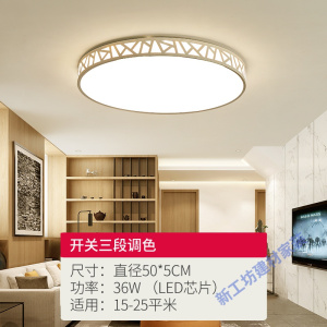 苏宁放心购 2020年新款led客厅灯大灯卧室灯简约现代大气家创意吸顶灯具吊灯