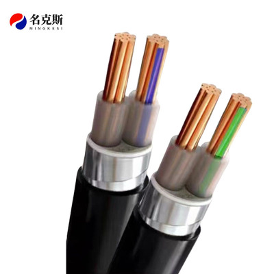 名克斯 0.6/1KV阻燃铜芯电缆ZR-YJV22 2*25m㎡ 米