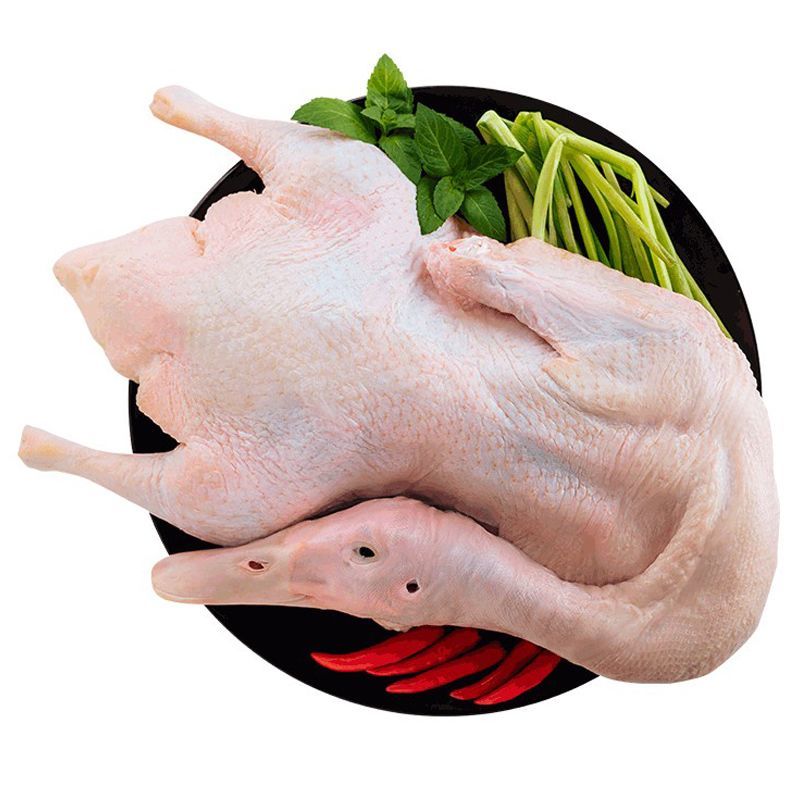 赛卡伊 鸭子农家散养土鸭笨鸭白条鸭新鲜鸭子肉整鸭冷冻生鲜批发