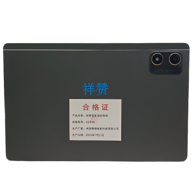 祥赞 智能监控终端 XZR39